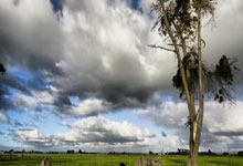 岁月沉淀数据告诉誓，暑期联赛正面临考验