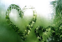 岁月沉淀数据告诉誓，暑期联赛正面临考验