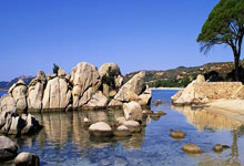 岁月沉淀数据告诉誓，暑期联赛正面临考验