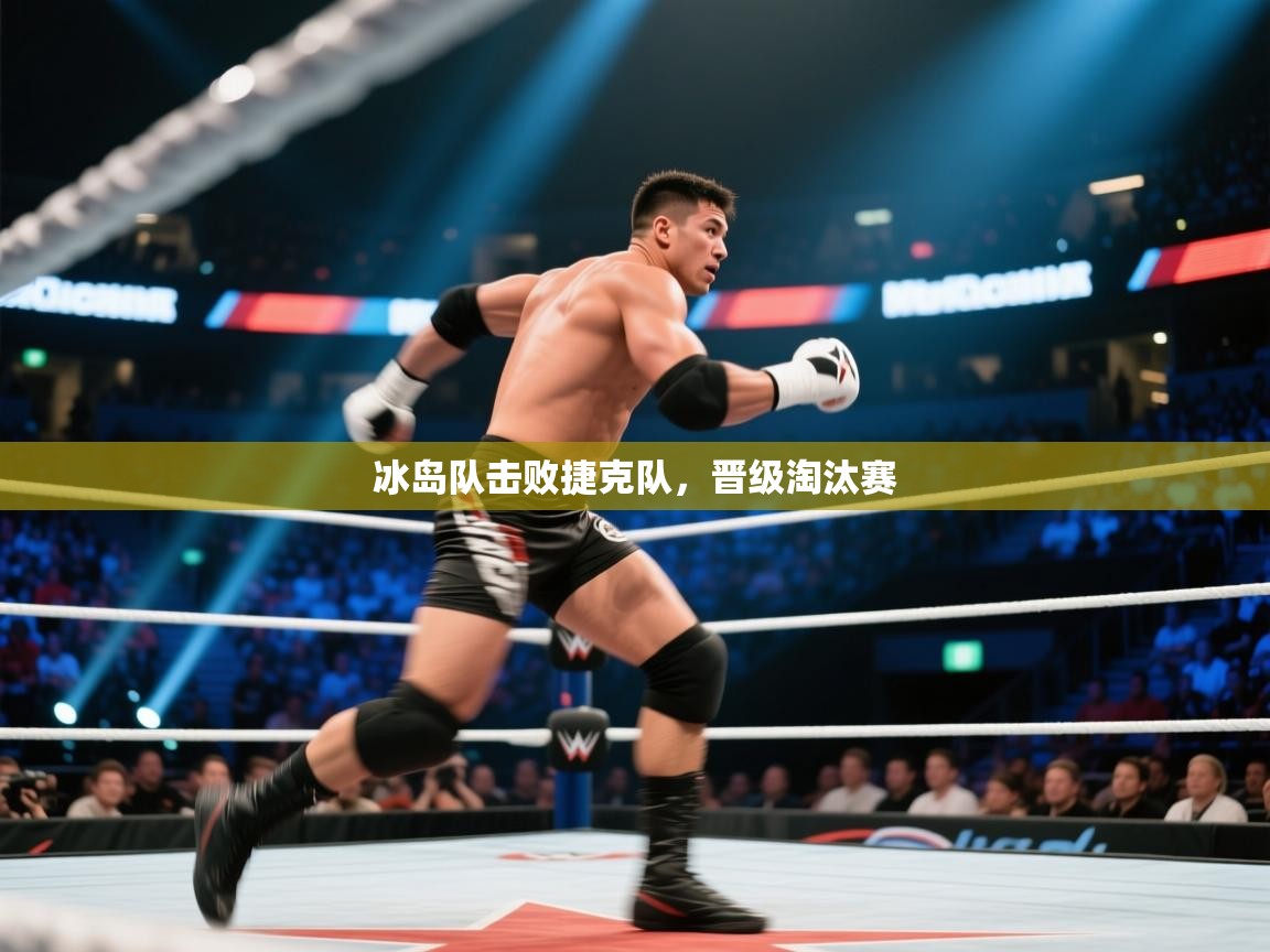 冰岛队击败捷克队，晋级淘汰赛  第2张