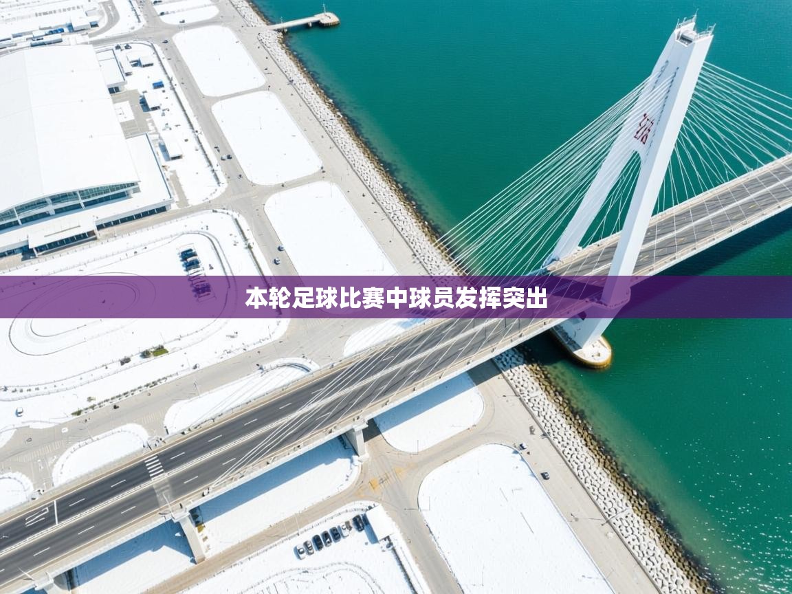 本轮足球比赛中球员发挥突出  第2张