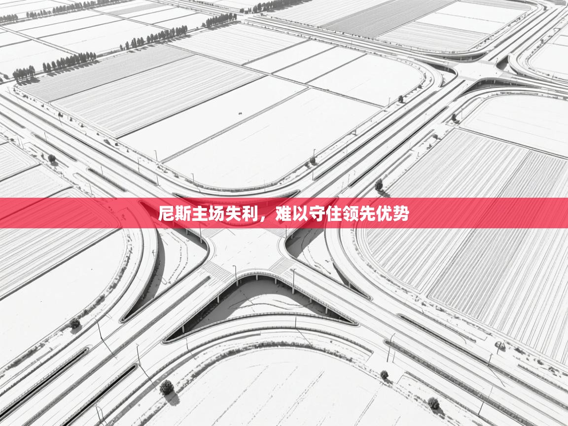 尼斯主场失利，难以守住领先优势  第2张