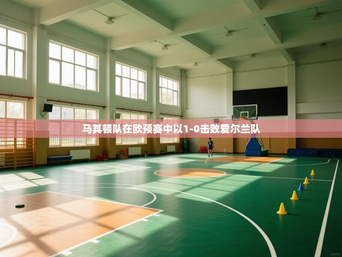 马其顿队在欧预赛中以1-0击败爱尔兰队