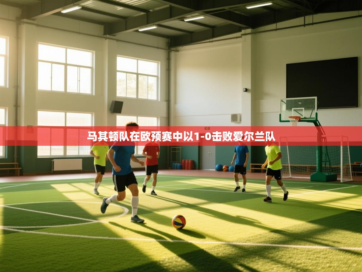 马其顿队在欧预赛中以1-0击败爱尔兰队  第2张