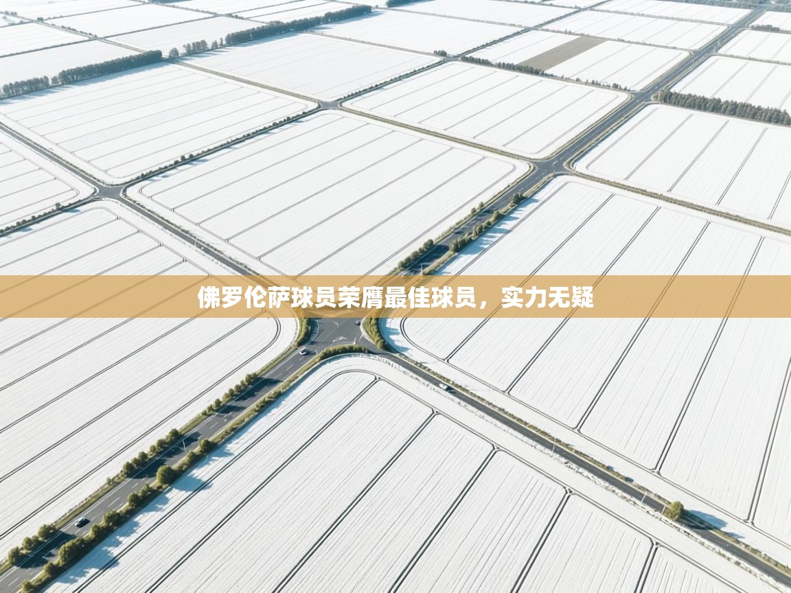 佛罗伦萨球员荣膺最佳球员，实力无疑