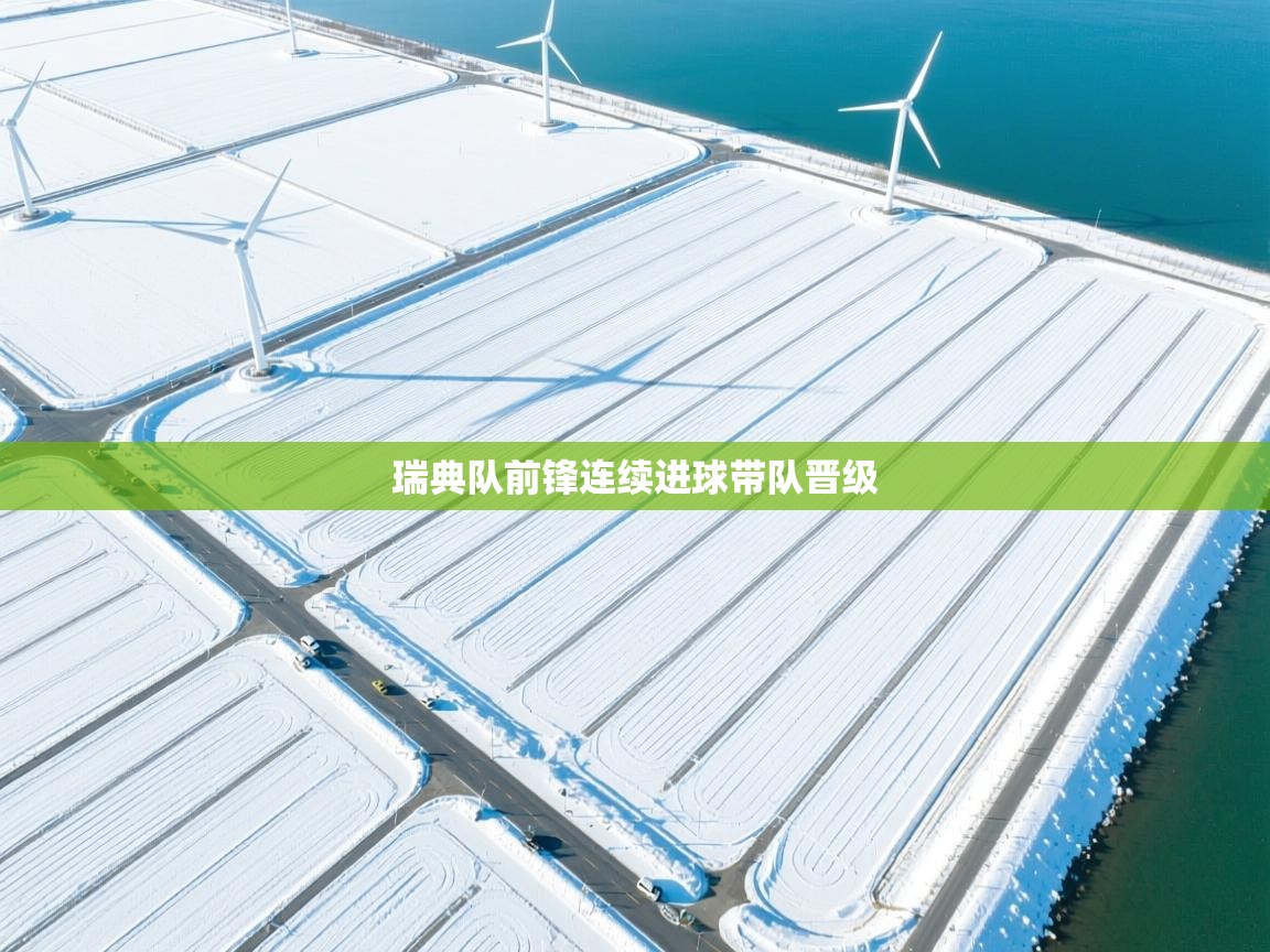 瑞典队前锋连续进球带队晋级