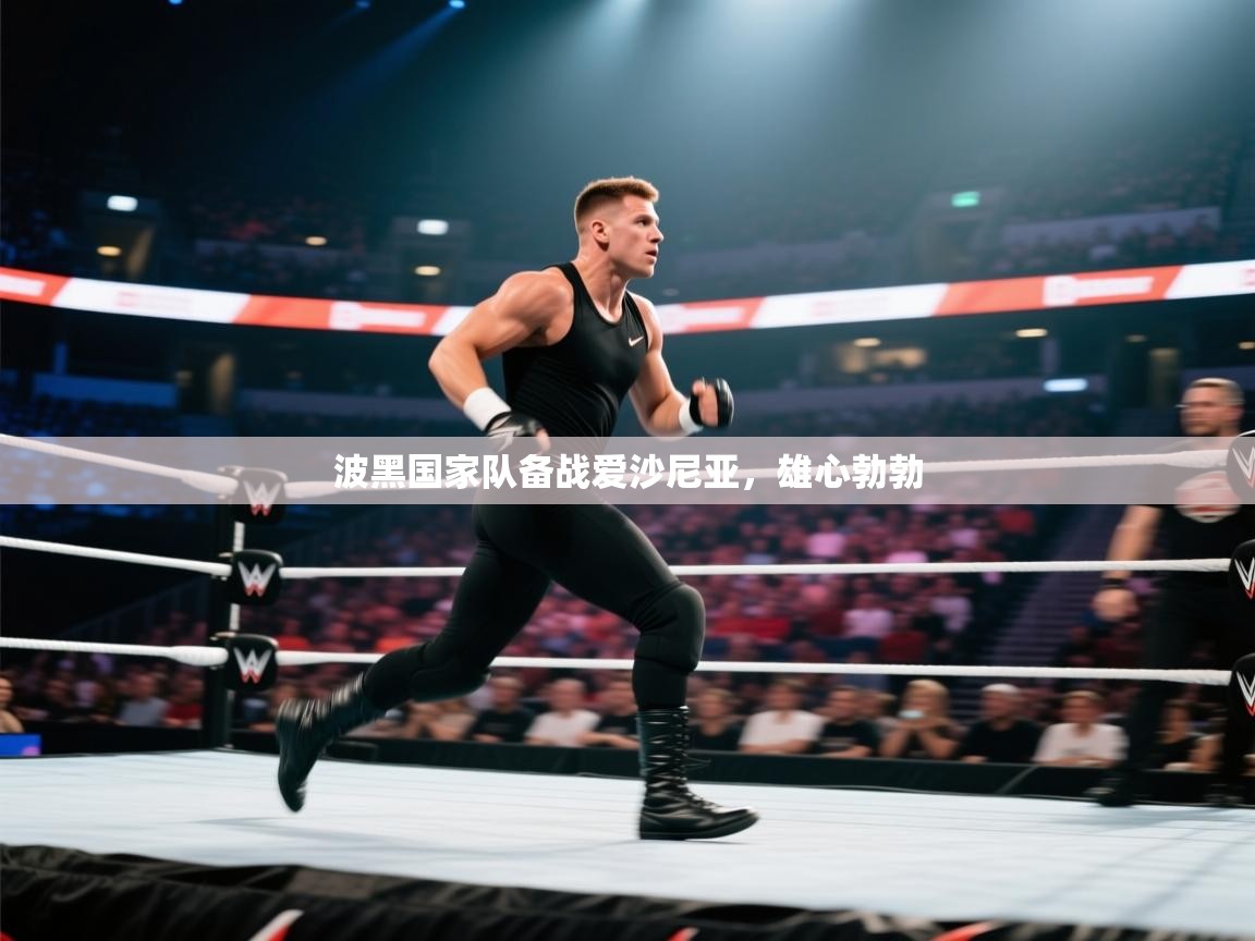 波黑国家队备战爱沙尼亚,雄心勃勃 第2张