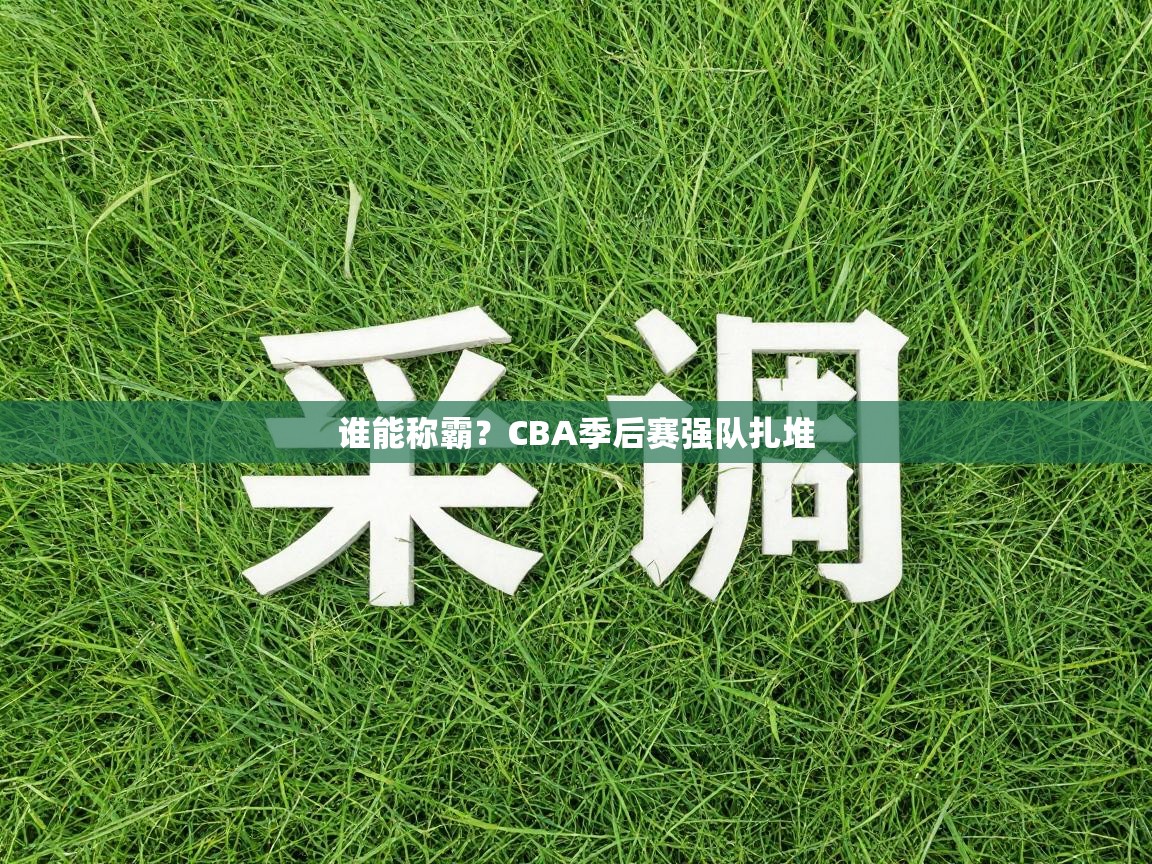 谁能称霸?CBA季后赛强队扎堆 第1张