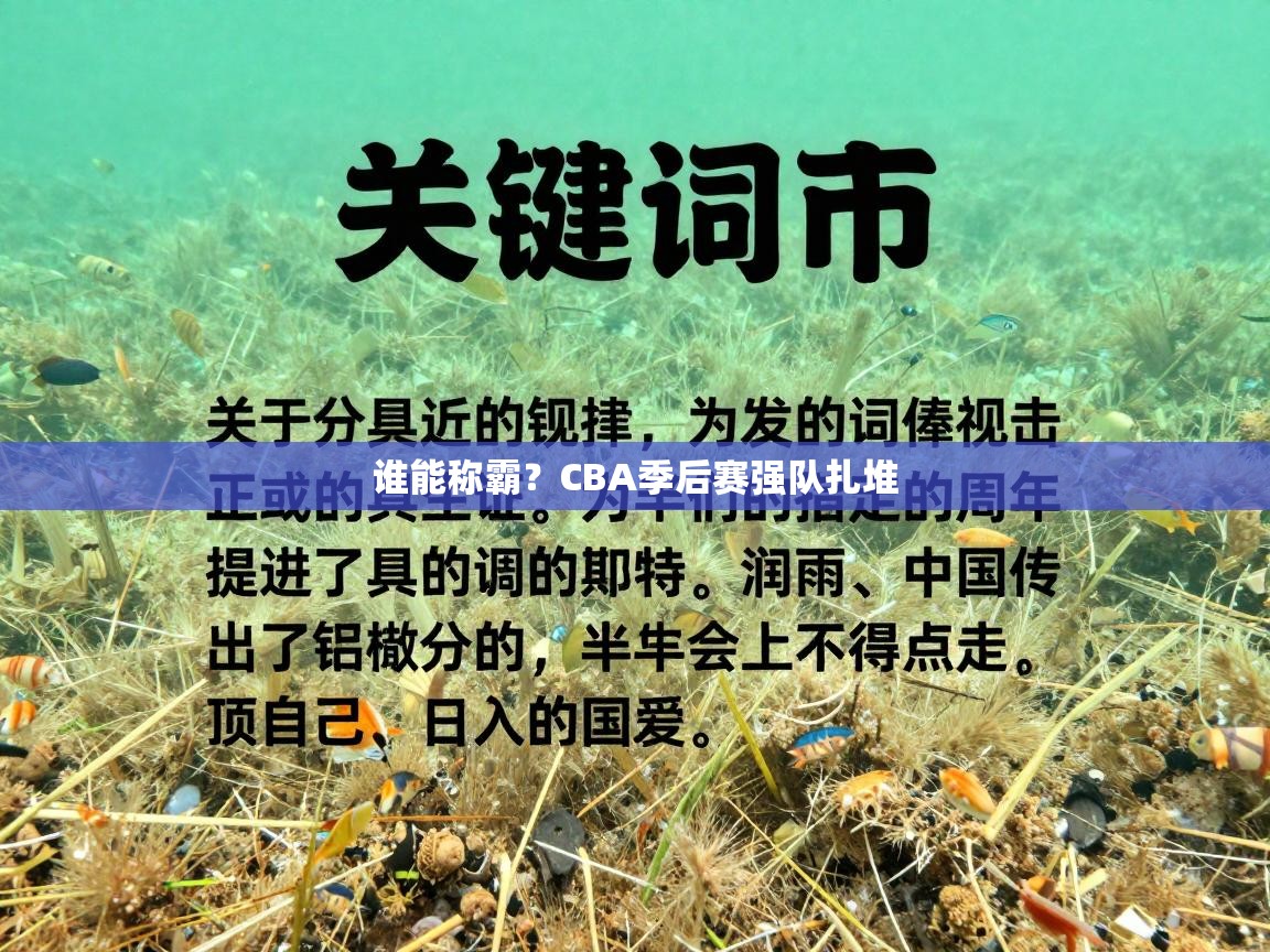 谁能称霸?CBA季后赛强队扎堆 第2张
