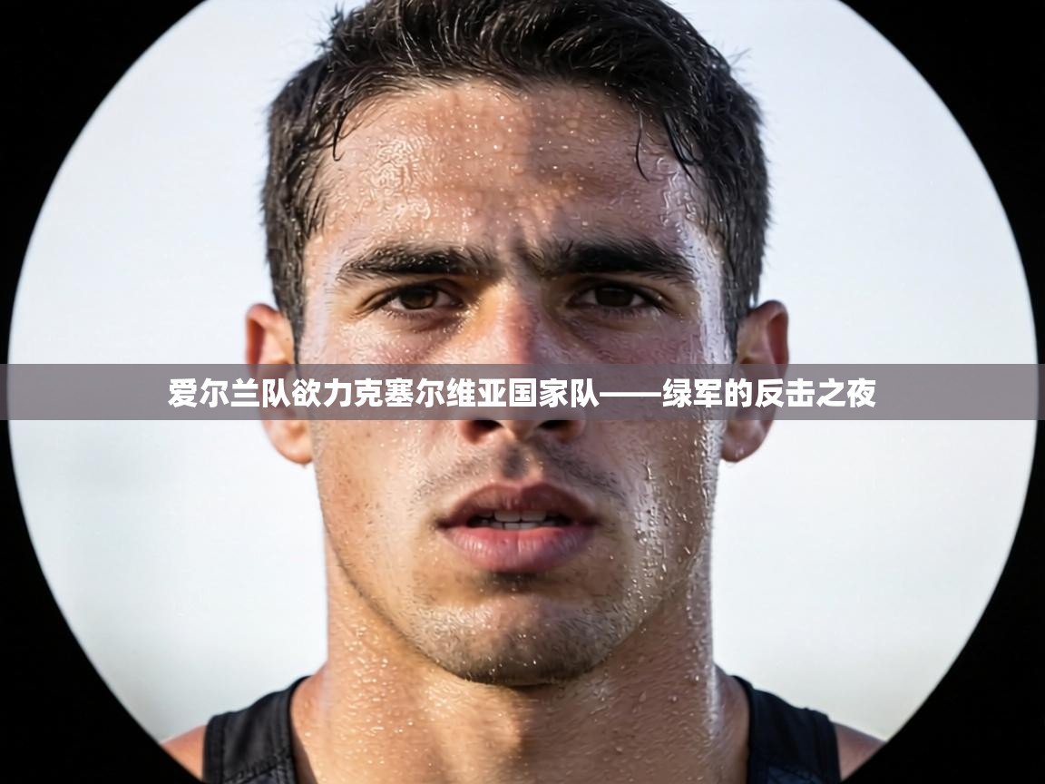 爱尔兰队欲力克塞尔维亚国家队——绿军的反击之夜 第2张